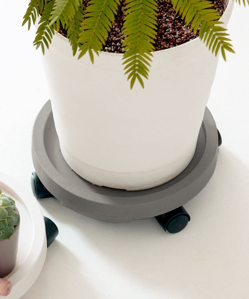 出所：パルグループ公式ファッション通販サイト　キャスター付きトレー／Interior Green