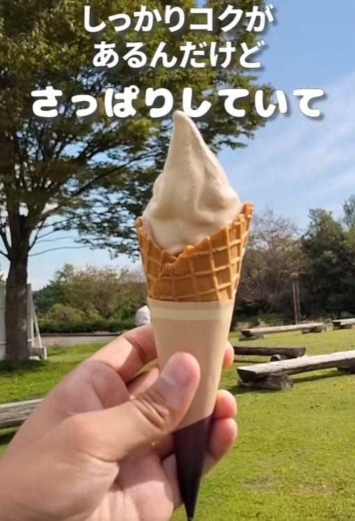 コクがあるけどさっぱりしたソフトクリーム
