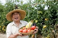 【65歳以上】無職夫婦世帯の「平均貯蓄額・月の生活費・年金月額」はいくら？シニアの生活を教えて！