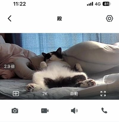 ペットカメラの様子