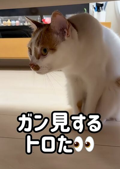 投稿の画像