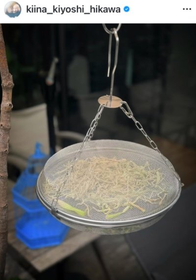 氷川きよしのInstagram投稿