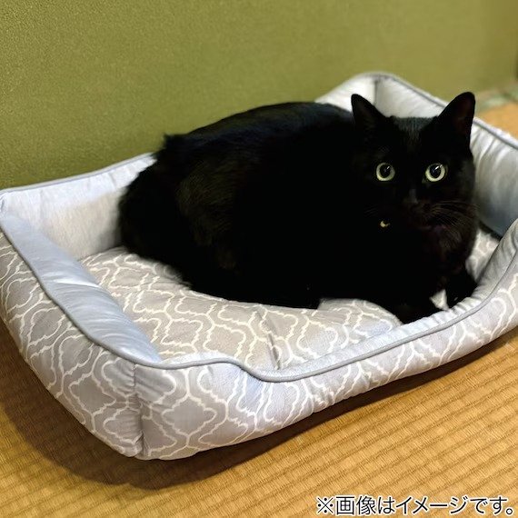 出所：ペット消臭・滑り止め付き 接触冷感ペットベッド  (NクールWSP シカク S254)