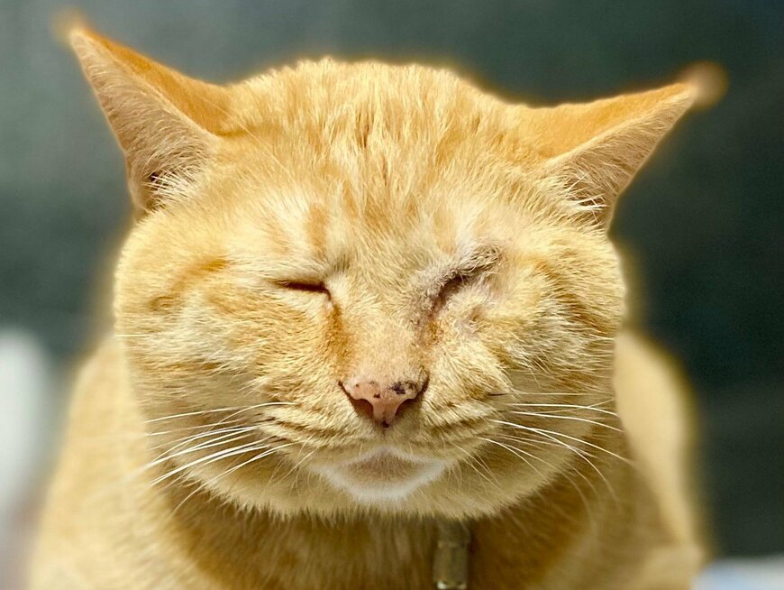 出所：@luna7taka9