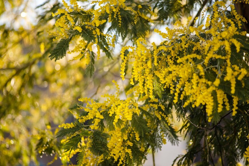 Lifesummerlin/Shutterstock.com