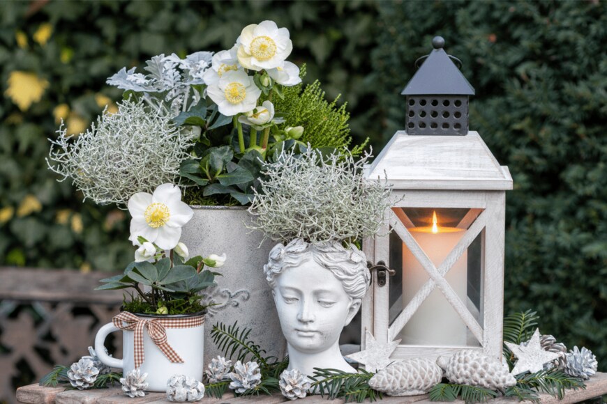 Natalia Greeske/shutterstock.com