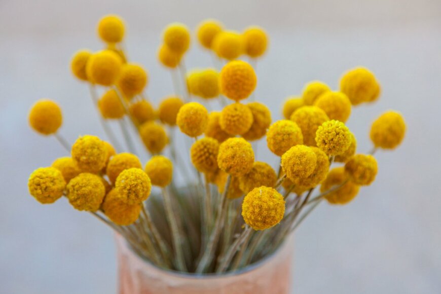 dapperland/shutterstock.com