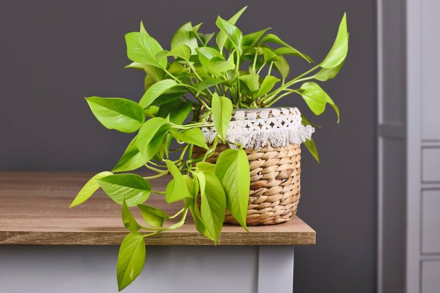 Firn/shutterstock.com