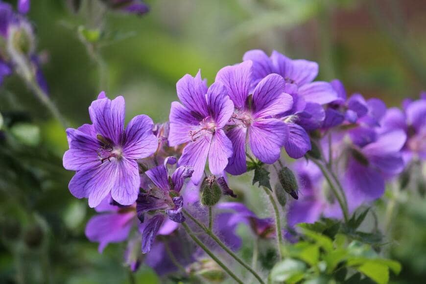 Kazakov Maksim/shutterstock.com