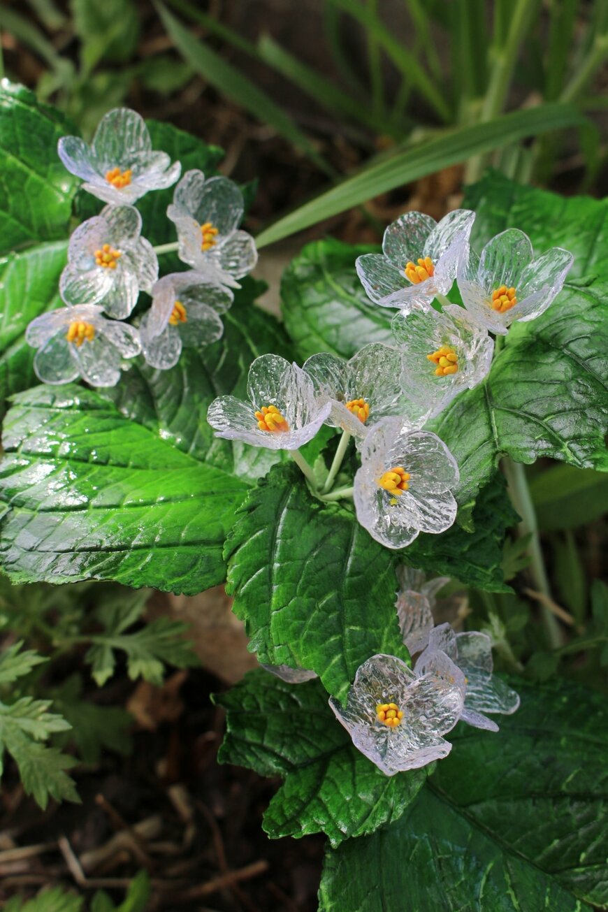 出所：@kobahandmade様ご提供写真