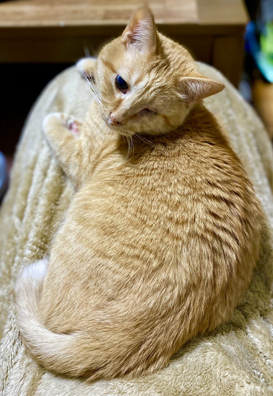 出所：@luna7taka9