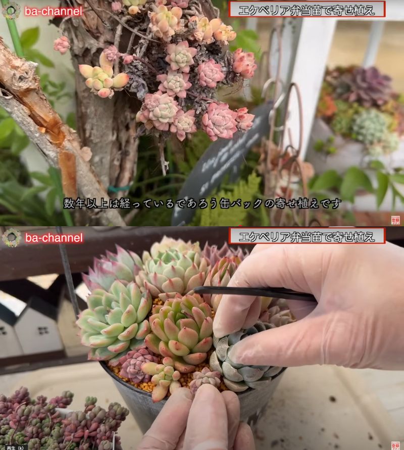 出所：@ba-channel