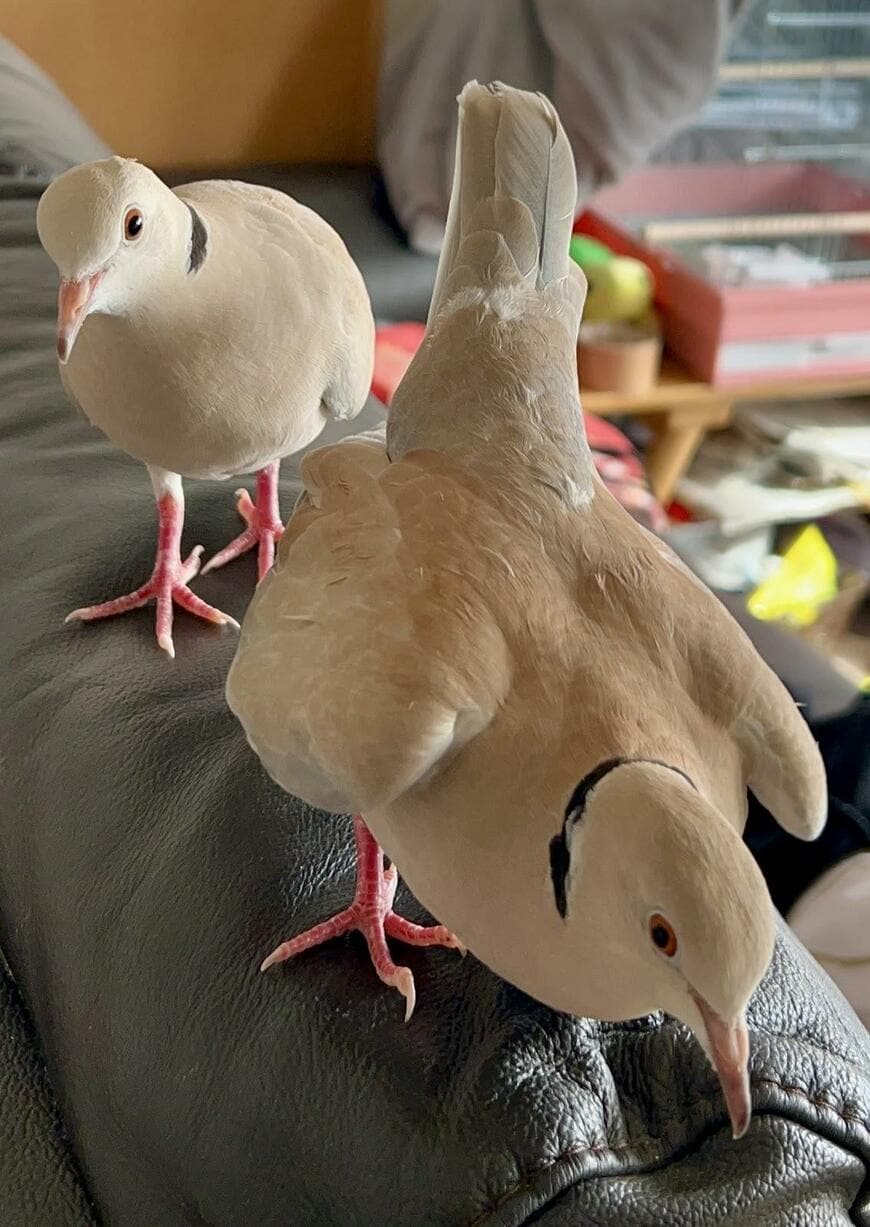 出所：@20140128spr