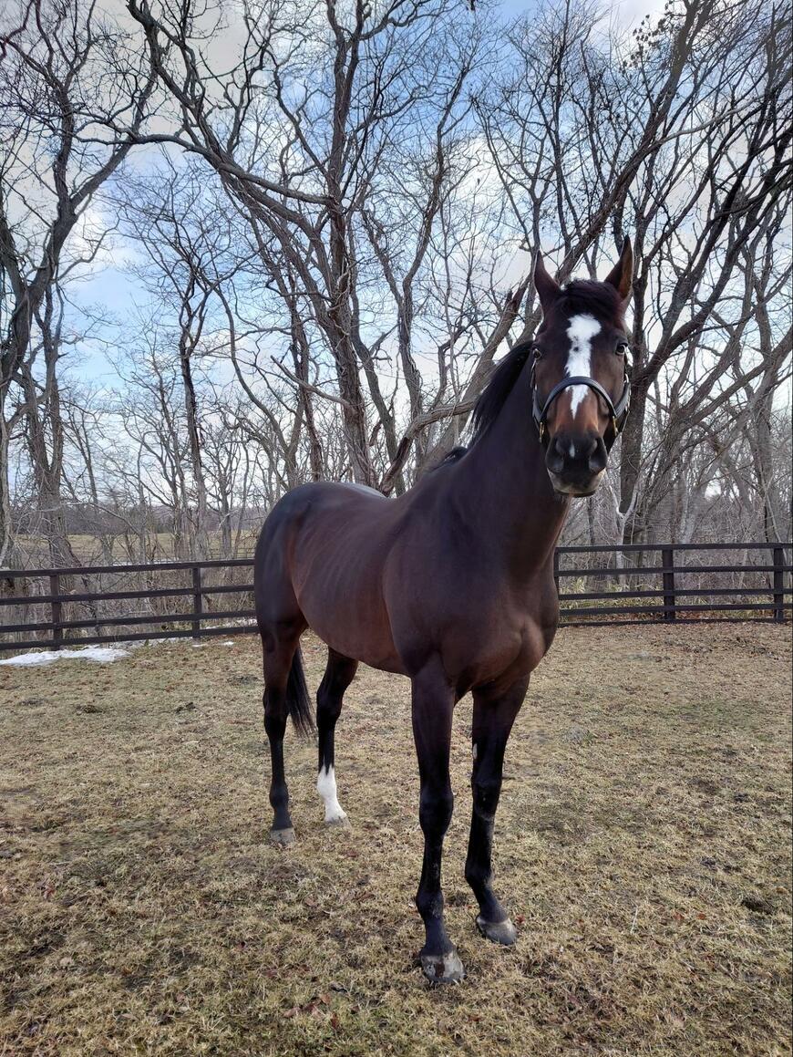 出所：Yogiboヴェルサイユリゾートファーム