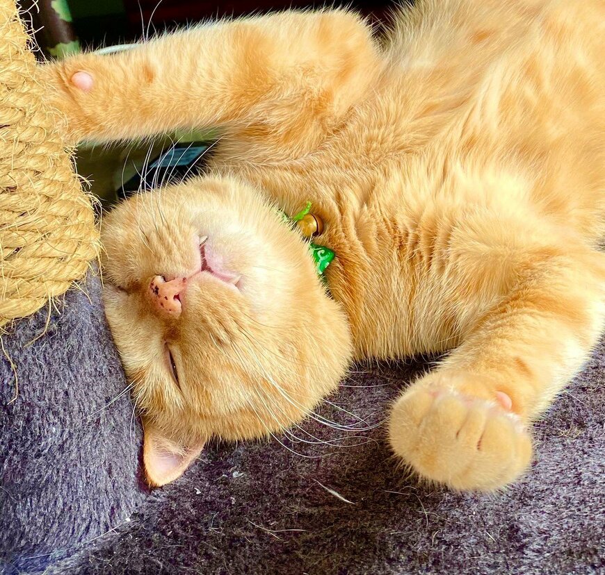 出所：@luna7taka9