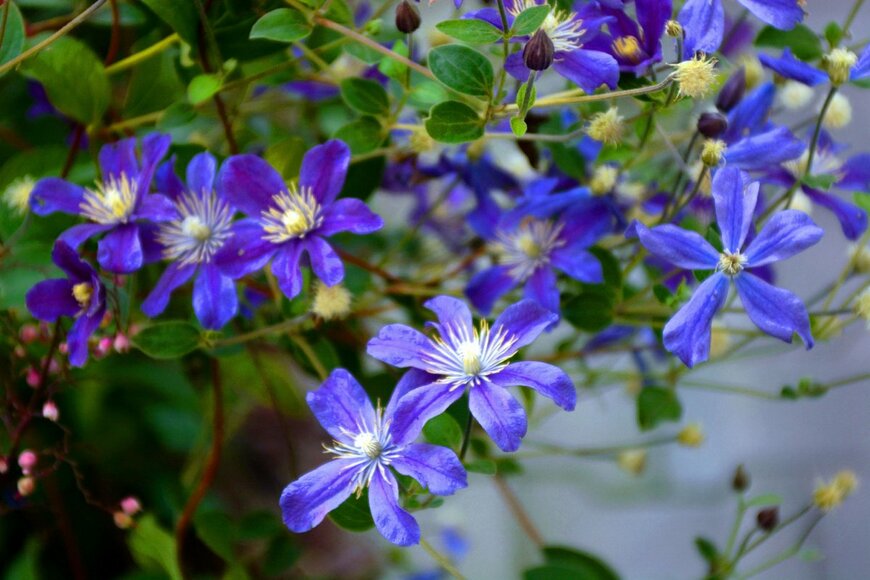 Gold Picture/shutterstock.com