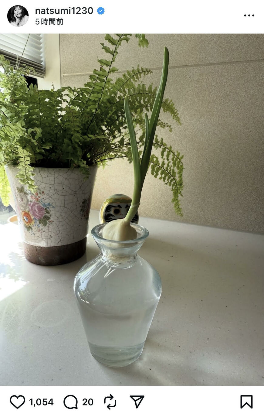 出所：小川菜摘のInstagram（＠natsumi1230）参照日：2025年10月8日