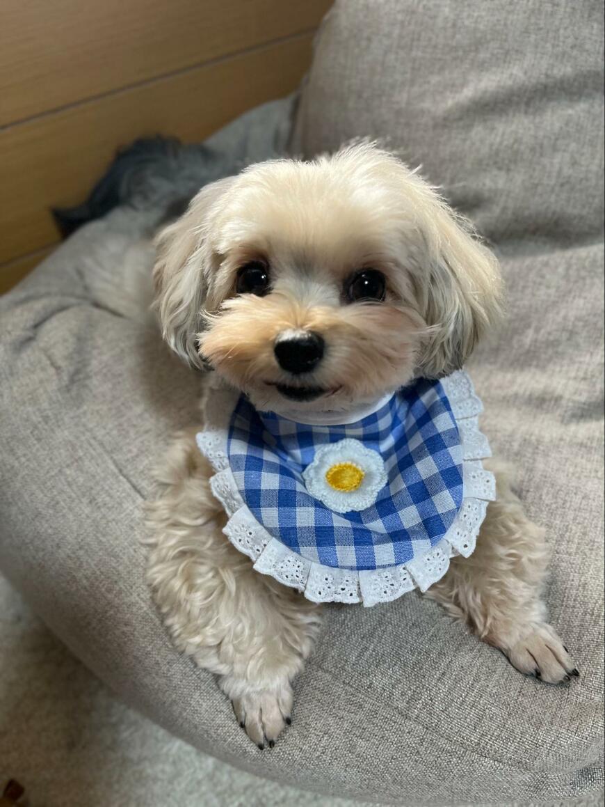 出所：@potage_0924