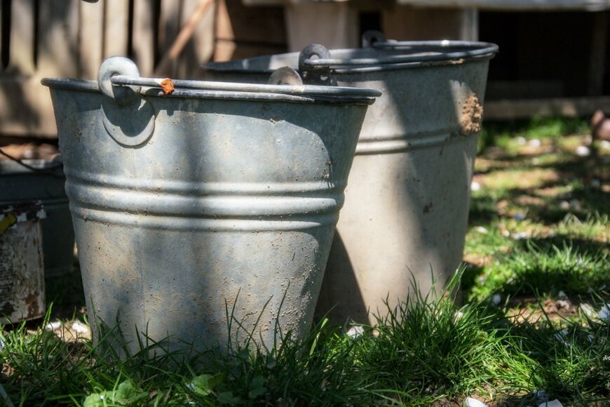 Lukas Beno/shutterstock.com