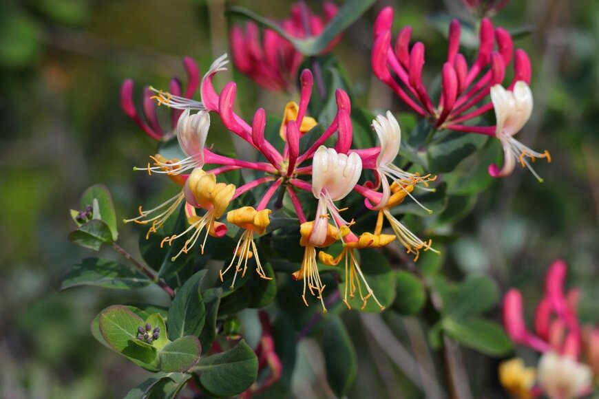 johncopland/istockphoto.com