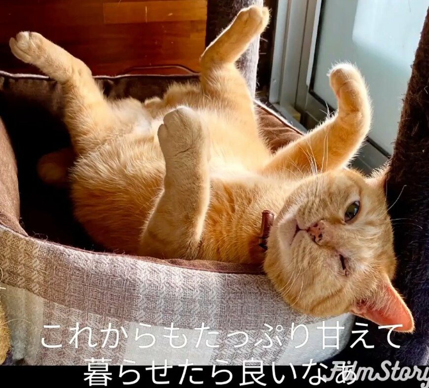 出所：@luna7taka9