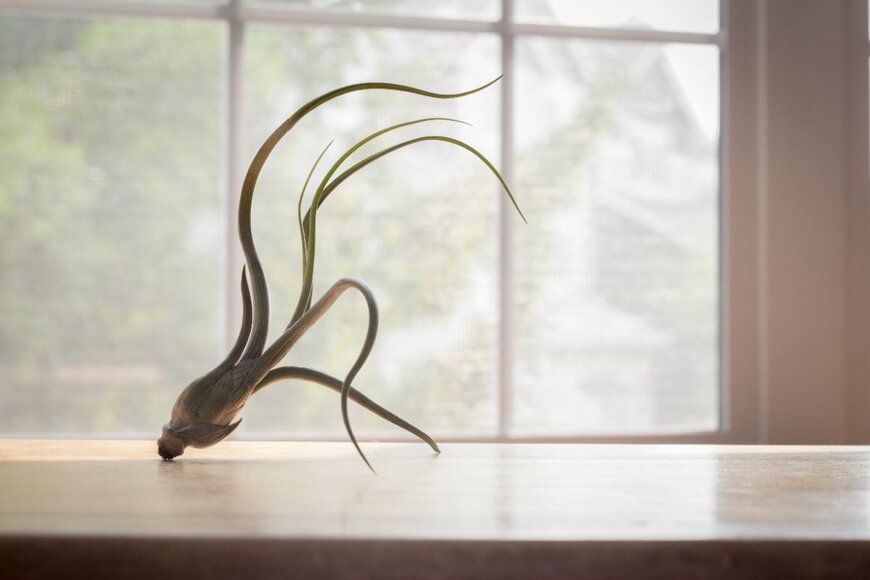 Eddie Bednarek/shutterstock.com