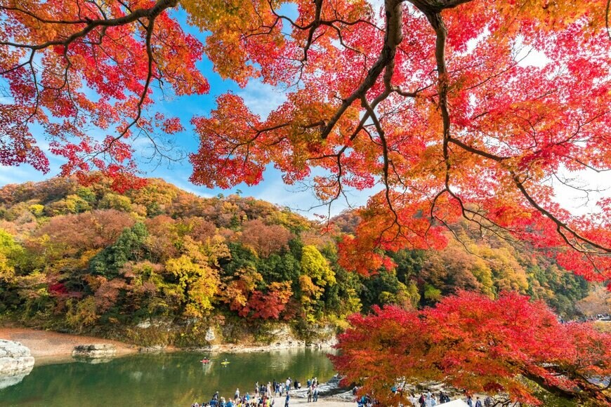 segawa7/shutterstock.com