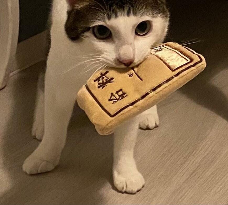 出所：@Saeroyi_cat