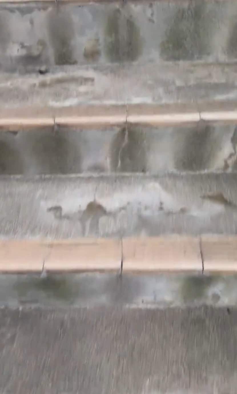 出所：@nelonelosango