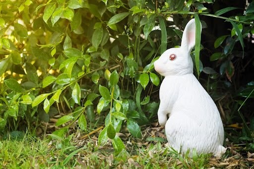 Kanchana P/shutterstock.com