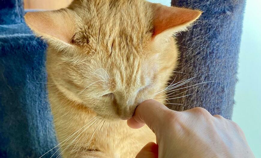 出所：@luna7taka9