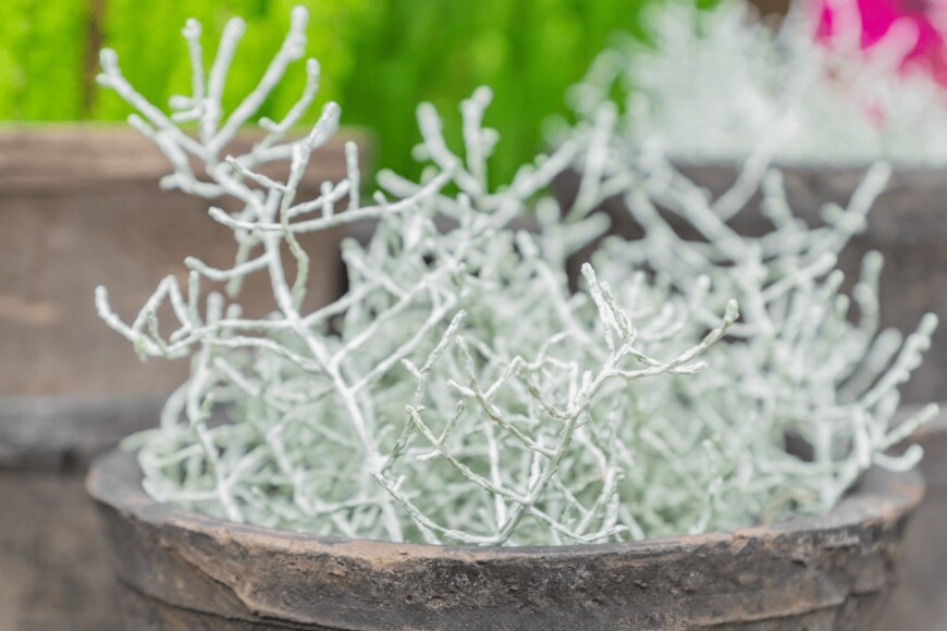 IKvyatkovskaya/istockphoto.com