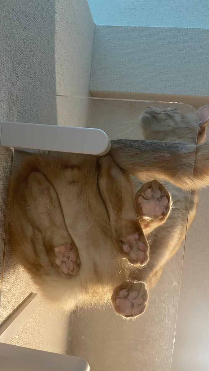 出所：＠Teagle_Noir