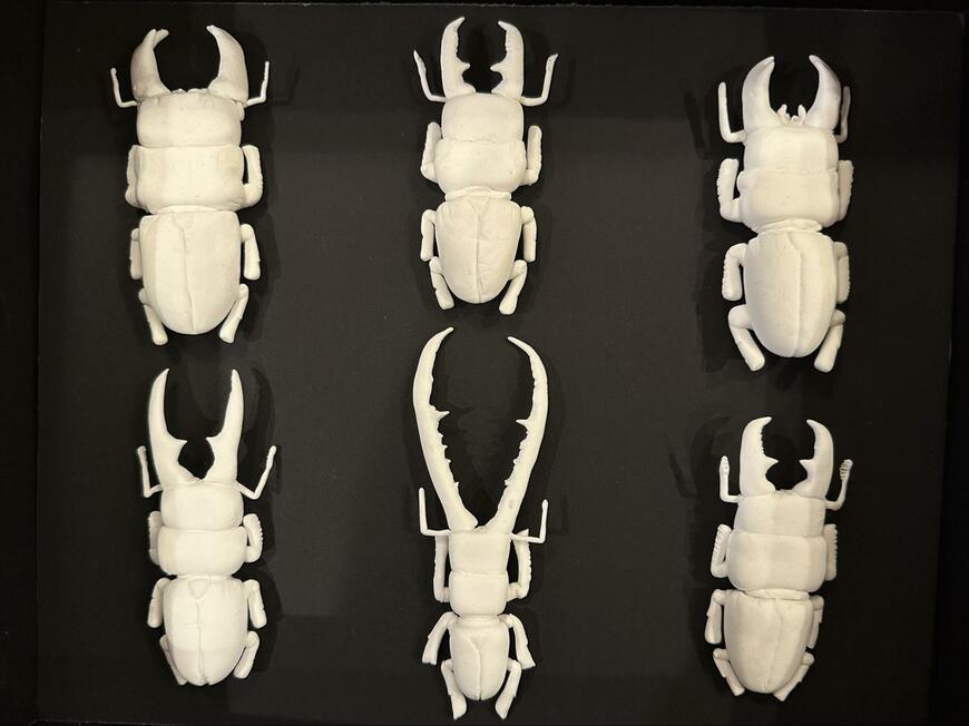 出所：@AntRoom_taku