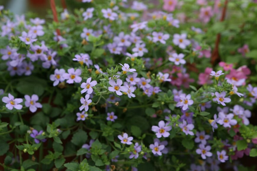 Sergey Bezgodov/Shutterstock.com