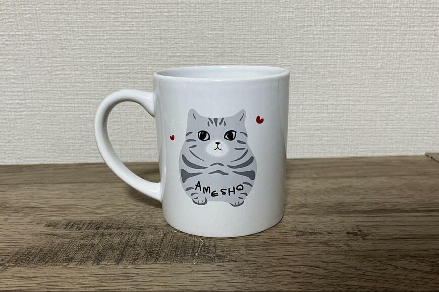 キャンドゥ、アメショマグカップ240ml撮影画像