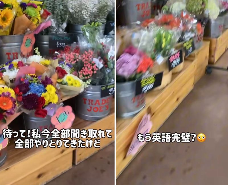 投稿の画像