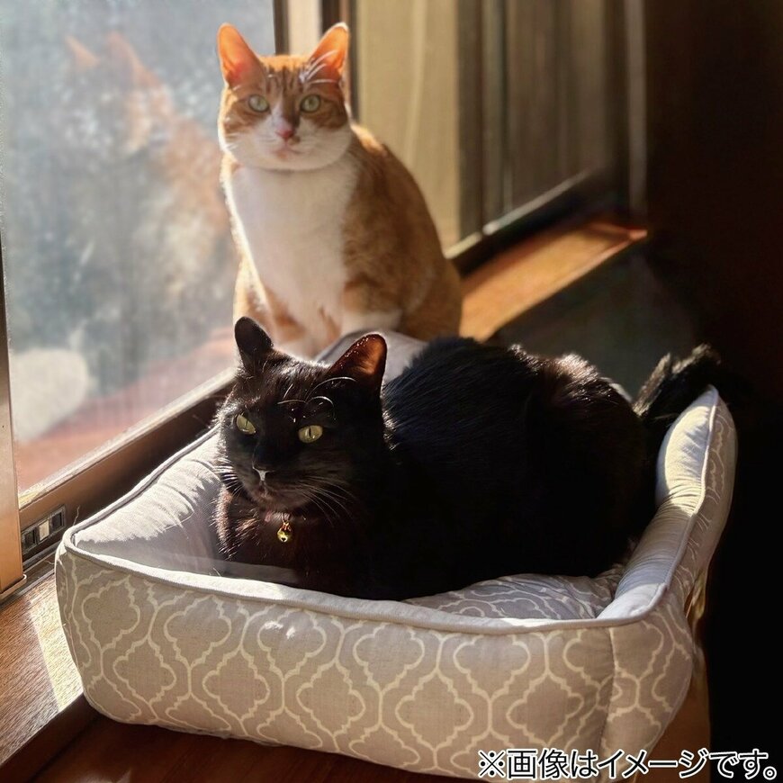 ペット消臭・滑り止め付き 接触冷感ペットベッド