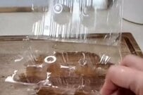 娘の体育祭に持って行った「母のアイデア弁当」　想像の斜め上を行く発想が話題に