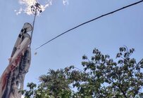 幼稚園の頃に買ってもらったさくらんぼの苗木　25年後の予想外の大収穫に「私も植えたい」「夢がある」