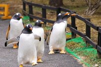 富裕層が無意識のうちに実践している「お金がどんどん貯まる人」の行動3選