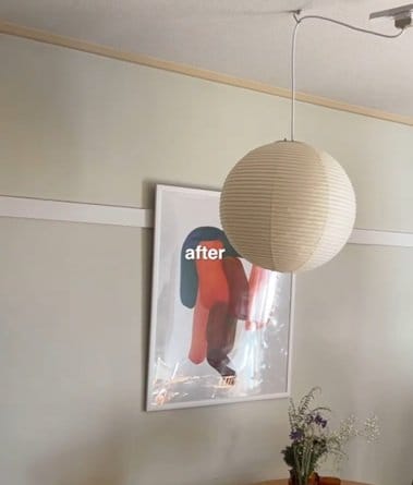 投稿の画像