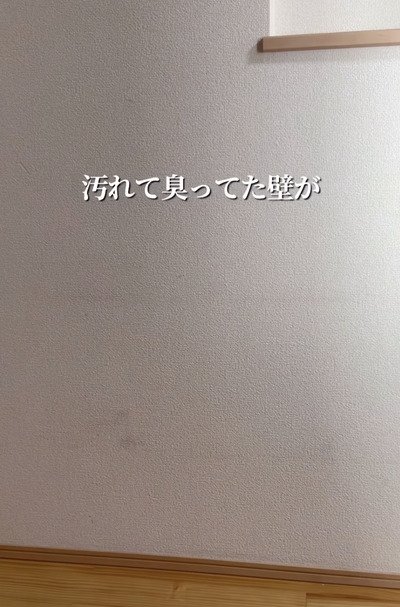 投稿の画像