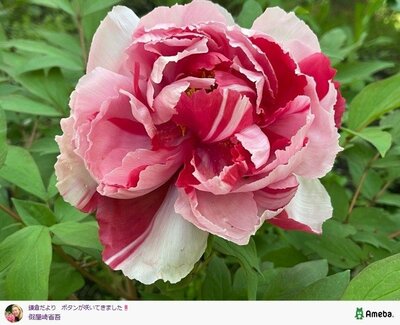 假屋崎省吾の公式ブログ投