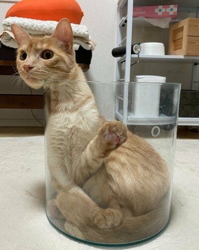 無加工なんです