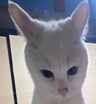 ソウくんの表情をクローズアップ