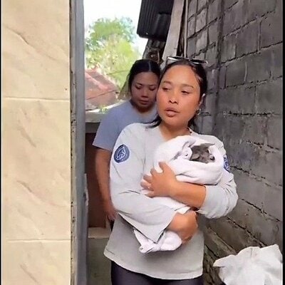 保護され運ばれていく子犬