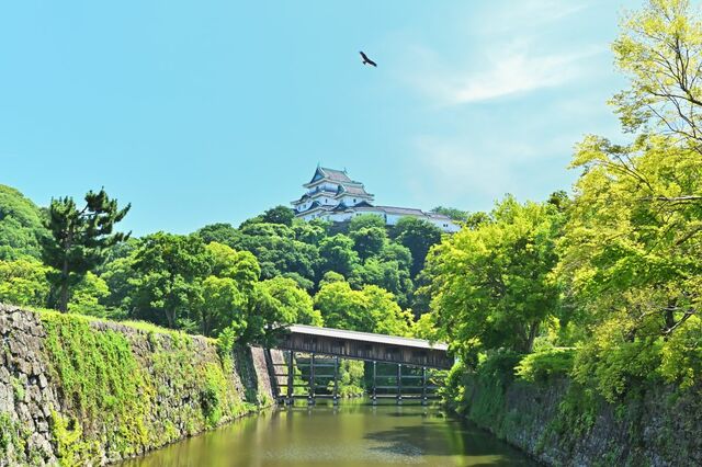 【和歌山県和歌山市】GWのお出かけに！BBQやジビエ、ドッグランも楽しめる道の駅「四季の郷公園 FOOD HUNTER PARK」