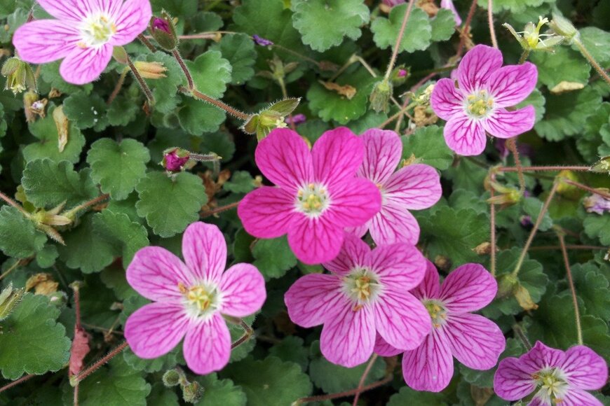 Steve Park/istockphoto.com