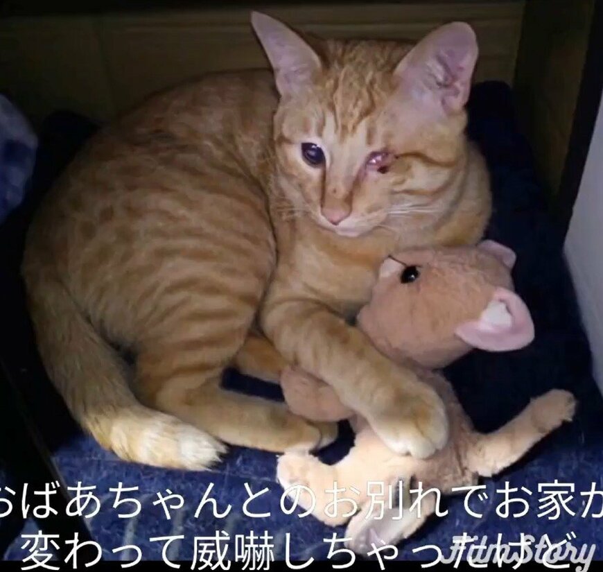 出所：@luna7taka9